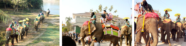 Elephant Festival descript